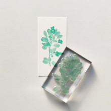 画像をギャラリービューアに読み込む, Biology Stamp <ジューンベリー>