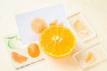 画像をギャラリービューアに読み込む, 重ねるみかんの多色スタンプ(アクリル付) -超再現クリアスタンプ TO-MEI HAN -