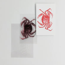 画像をギャラリービューアに読み込む, Biology Stamp  <オオエンコウガニ>