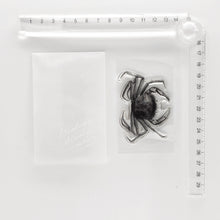 画像をギャラリービューアに読み込む, Biology Stamp  <オオエンコウガニ>