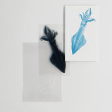 画像をギャラリービューアに読み込む, Biology Stamp <ヨーロッパヤリイカ>