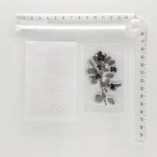 画像をギャラリービューアに読み込む, Biology Stamp <ジューンベリー>