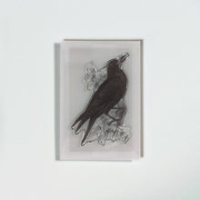 画像をギャラリービューアに読み込む, Biology Stamp <ミヤマガラス>