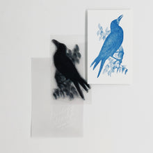 画像をギャラリービューアに読み込む, Biology Stamp <ミヤマガラス>