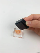 画像をギャラリービューアに読み込む, TO-MEIHANxいろもよう〜わらべ〜 ねこ