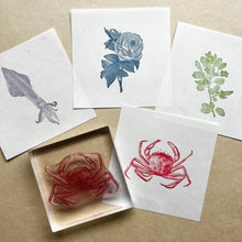画像をギャラリービューアに読み込む, Biology Stamp <バロネス ロスチャイルド>