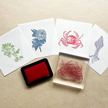 画像をギャラリービューアに読み込む, Biology Stamp <ヨーロッパヤリイカ>