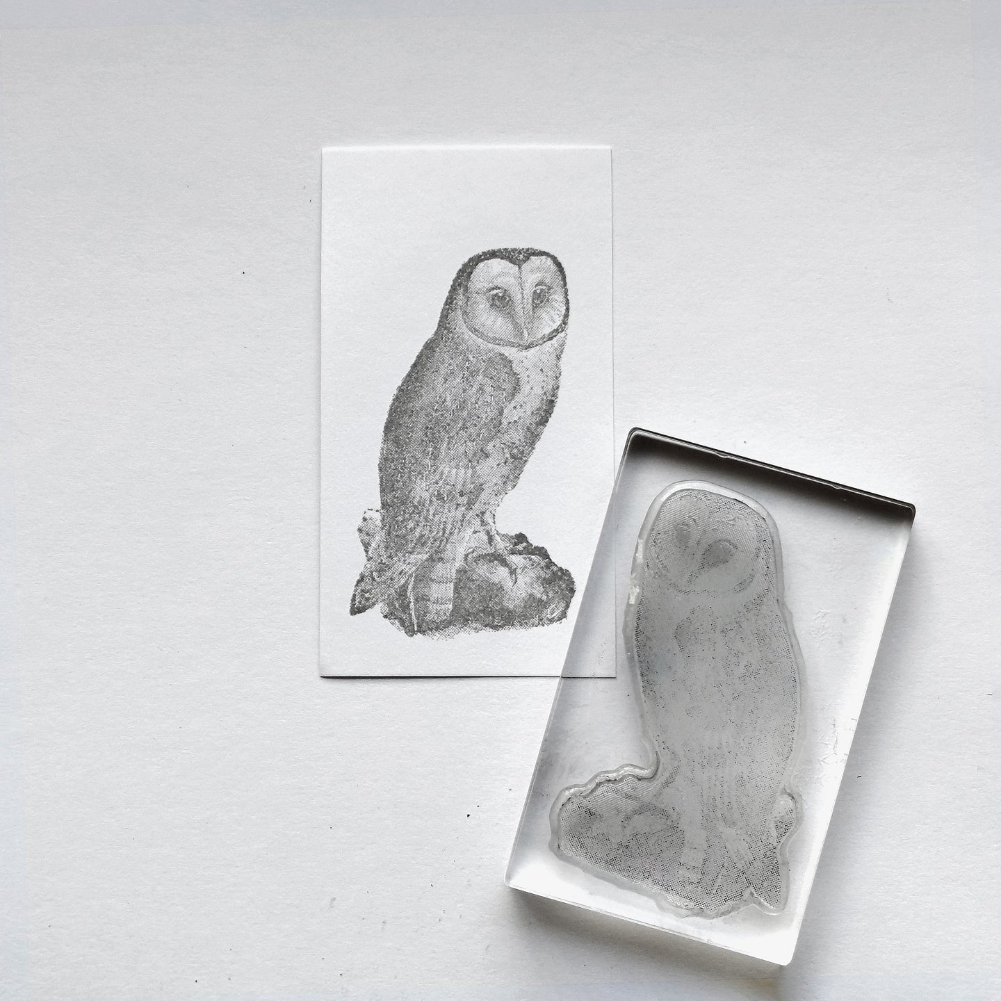 Biology Stamp　＜メンフクロウ＞
